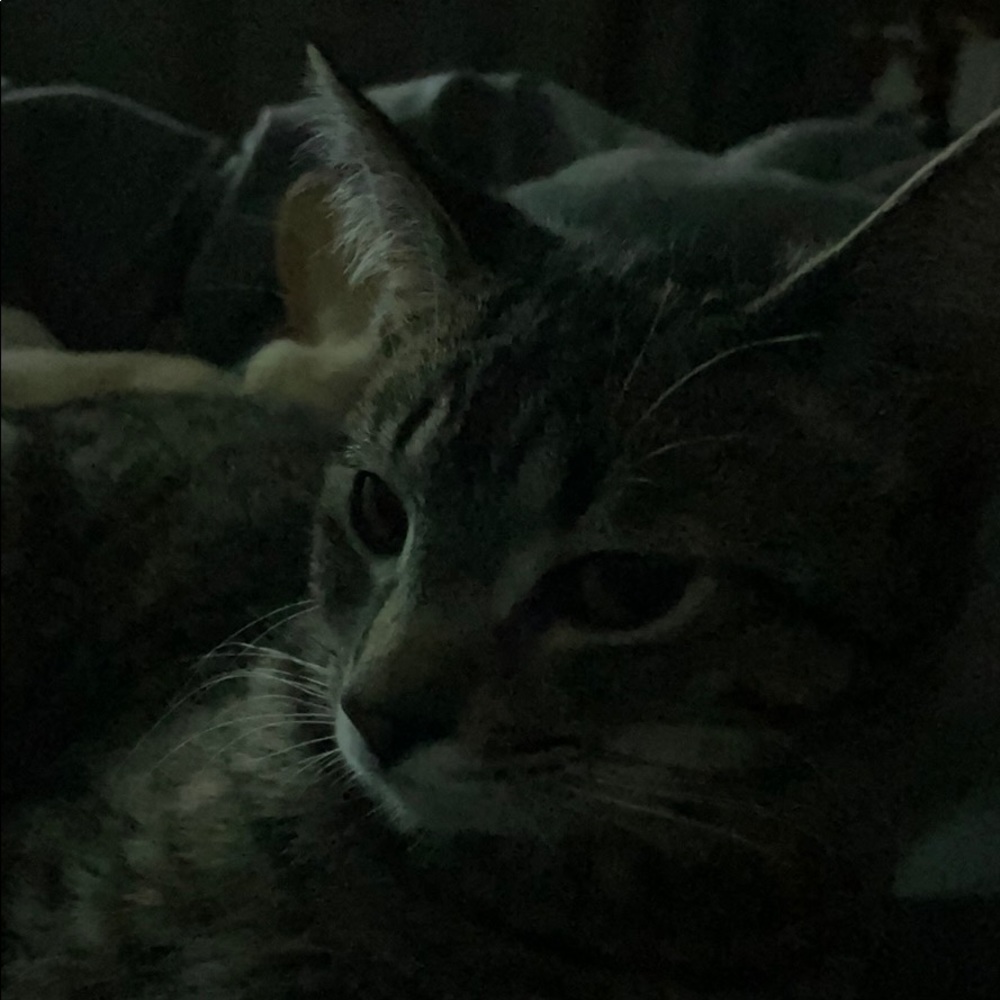 Meet your Posher, Jaime